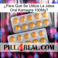 ¿Para Qué Se Utiliza La Jalea Oral Kamagra 100Mga levitra2